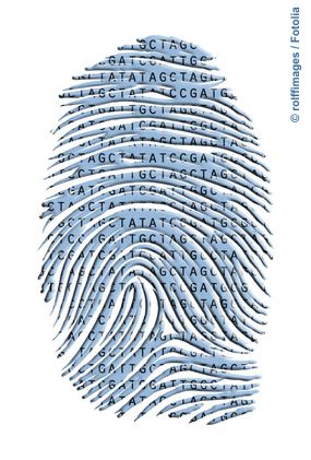 Der genetische Code ist wie ein Fingerabdruck - eben einmalig.