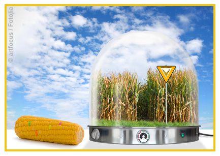 Genforschung am Essen ist nicht beliebt