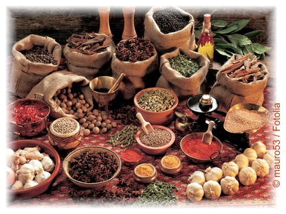 Von Gew&uuml;rzen und Handelskriegen