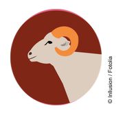 ... sehen dann gleich aus !!!